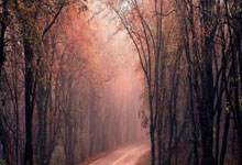 爱游戏:英媒:若森林获得欧冠席位,他们考虑打破队史纪录签下库尼亚.