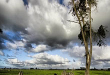 屡失良机付出代价 阿申纳点球战不敌10人曼联出局.