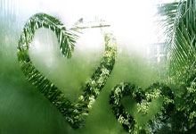 爱游戏:全市场:药厂询问了基维奥尔的情况,他想要更多的出场时间.