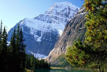 屡失良机付出代价 阿申纳点球战不敌10人曼联出局.